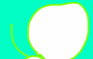 緑の真珠 - トゥー・A・ルルカ 