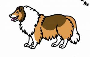 ラフ・コリー - シマハイエナ 