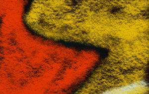 千年の記憶 - hakaalash 