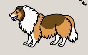 ラフ・コリー - シマハイエナ 