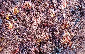 はな - 久保田　俊 