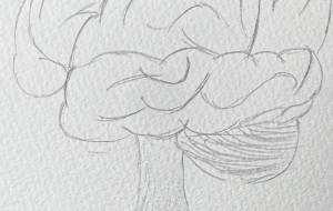 凝り固まった思考 - 沙霧 