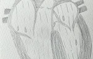 心に雨が降った - 沙霧