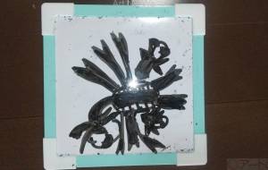 食虫植物の絵 - 矢嶋凌久 