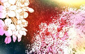 しだれ桜 - 神吉みちる 