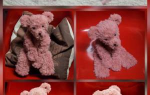 ヤワテ２０２６ - 西原永恵 