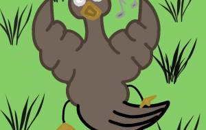 鳥が草原でダンスをしている所 - アクター