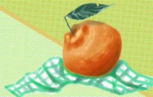 果物柑橘 - まにー 