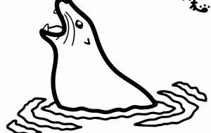 トド - シマハイエナ 