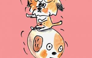 バランス・ドッグ - 空叶論 