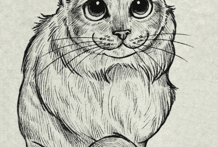 モモちゃん - Yukari 