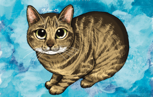 キジトラ猫 - Yukari 