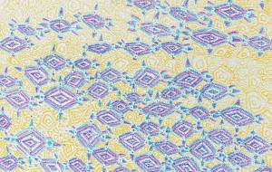 黄金のウミガメスープ - 晃な 