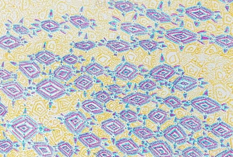 黄金のウミガメスープ - 晃な 