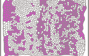 歯医者のなんか - ヤマモト　シンイチロウ 