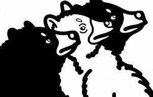 アメリカクロクマ - シマハイエナ 