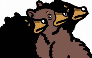 アメリカクロクマ - シマハイエナ 