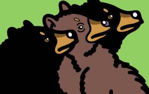 アメリカクロクマ - シマハイエナ 