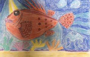 考えるカサゴ - 住田ヒロンパ 