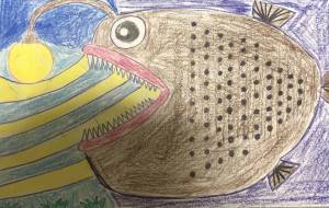 チョウチンアンコウの光と闇 - 住田ヒロンパ