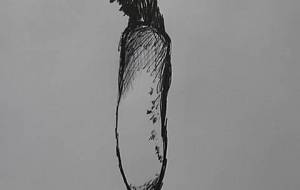 イラスト作品大根 - 真鍋哲地 