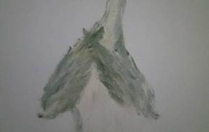 悲しみ白鳥 自然帝王尊悲鳴円舞曲(自然界の叫び) - 真鍋哲地