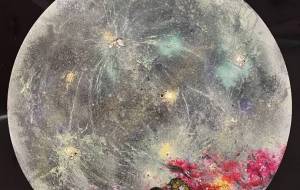 夜空に寄り添う二羽 - 光るアートmyo 