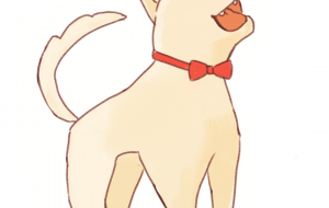 わおーん - ASAKOMAI/アコチャン 