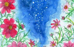 満天のコスモス - 工房はんど　アキ 