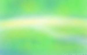 夏の小道 - 一ノ瀬ゆき 