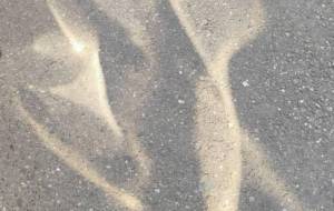 シュルシュル - hikari 