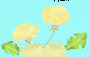 たんぽぽ - nao.k 