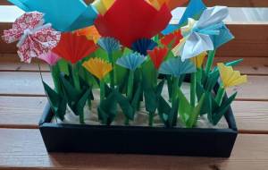 チューリップ - 金盛杏奈 