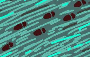 水貼り - 一ノ瀬ゆき 