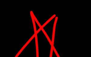 スター - 笹谷正博 