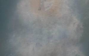 光楽園の花が揺れてる、豊かに、全てが微笑む、 - 真鍋哲地 