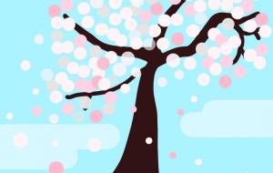 満開の桜 - 一ノ瀬ゆき 