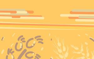 麦畑の夕陽 - 一ノ瀬ゆき 