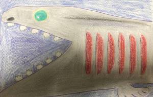 ラブカの顔 - 住田ヒロンパ 