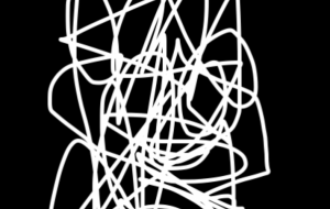 アール・ブリュット挑戦 - 笹谷正博 