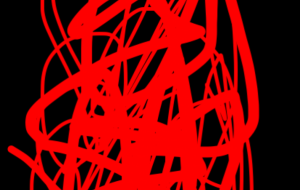 アール・ブリュット挑戦 - 笹谷正博 