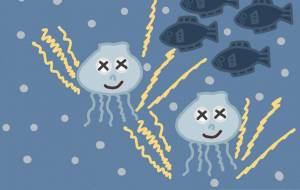 電気クラゲ - アクター 