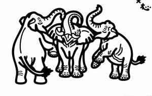 インドゾウとアフリカゾウ - シマハイエナ 