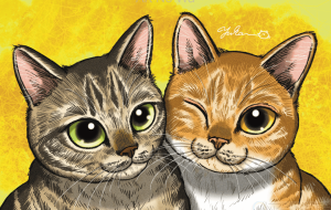 ゆず＆みかん - Yukari 