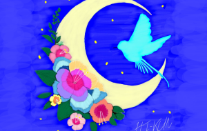 南の国の夏の夜 - 聖羽SEIHA 