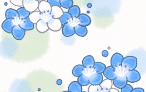 ネモフィラ柄 - はなもも 