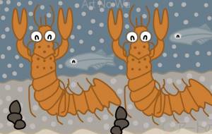 ザリガニ - アクター 