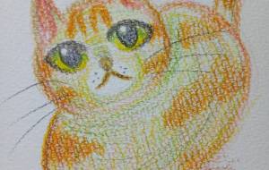 淡い気持ち - にゃんれの 