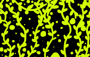 育つ努力 - ましゅまろまかろん 