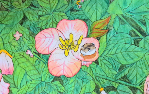 ハムスターとお花 - 風乃ねずみ 